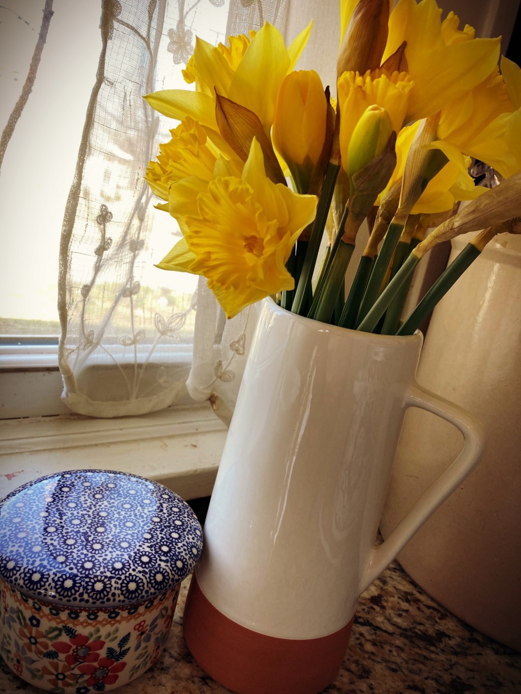 Spring Blooms, Spring rains & Shop&nbsp;News