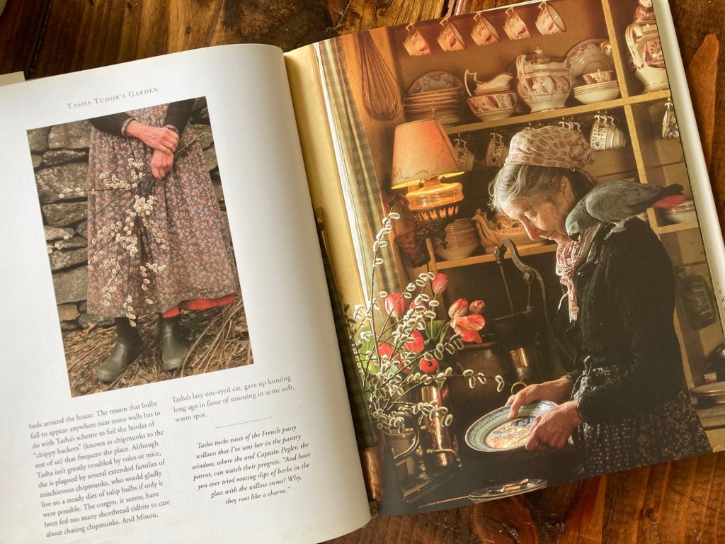 Tasha Tuesday- Spring&nbsp;Flowers