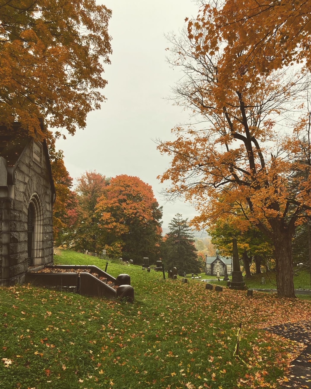 November Remembrance